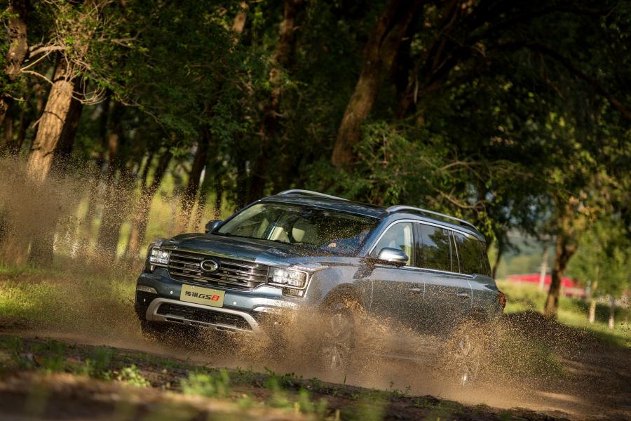  Trumpchi GS8 2016 года  (фото 24 из 42)